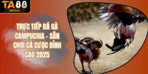 Trực Tiếp Đá Gà Campuchia – Sân Chơi Cá Cược Đỉnh Cao 2025